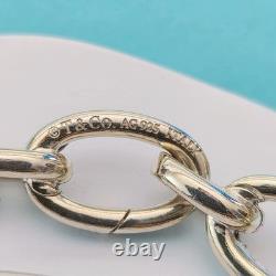 RARE Tiffany & Co Blue Enamel Clasping Oval Link Silver Bracelet with Charms