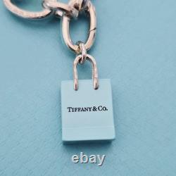 RARE Tiffany & Co Blue Enamel Clasping Oval Link Silver Bracelet with Charms