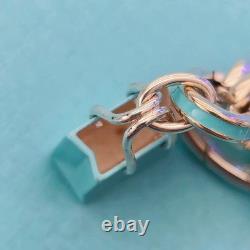 RARE Tiffany & Co Blue Enamel Clasping Oval Link Silver Bracelet with Charms