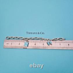 RARE Tiffany & Co Blue Enamel Clasping Oval Link Silver Bracelet with Charms