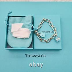 RARE Tiffany & Co Blue Enamel Clasping Oval Link Silver Bracelet with Charms