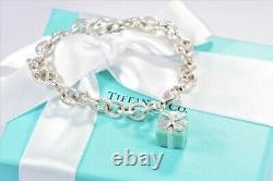 Tiffany & Co Sterling Silver Blue Enamel Gift Box Bracelet & Pouch Rare Present