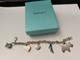 Tiffany & Co Sterling Silver Bracelet W Enamel Gift Box High Heel Dog Charm Rare