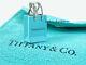 Tiffany & Co. Sterling Silver Shopping Bag Blue Enamel Charm Pendant Gift Box 2y