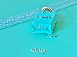 Tiffany & Co. Sterling Silver Shopping Bag Blue Enamel Charm Pendant Gift Box 2Y