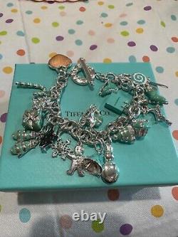 VERY RARE Tiff & Co Christmas silver, 17 charms, blue enamel bracelet & necklace